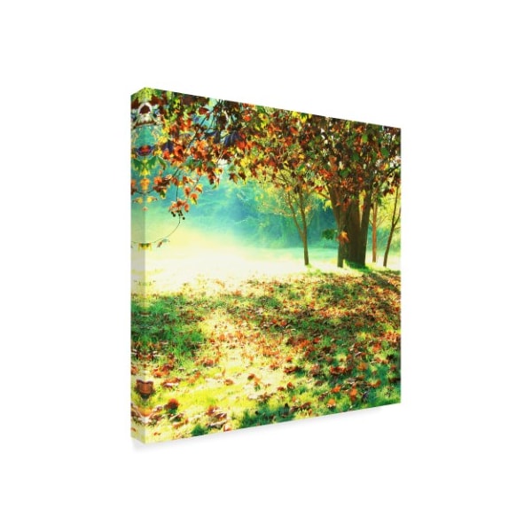 Incredi 'Colorful Morning' Canvas Art,18x18